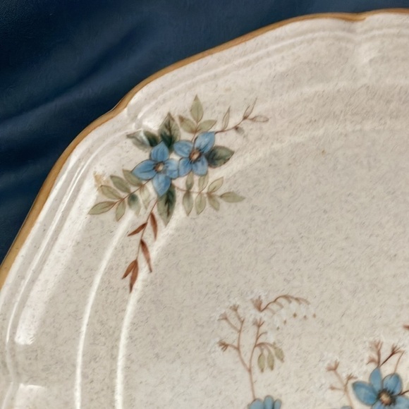 Mikasa: Garden Club DAY DREAMS (EC 461) Dinner Plates- lot of 2- 10 3/4" length - Picture 11 of 15